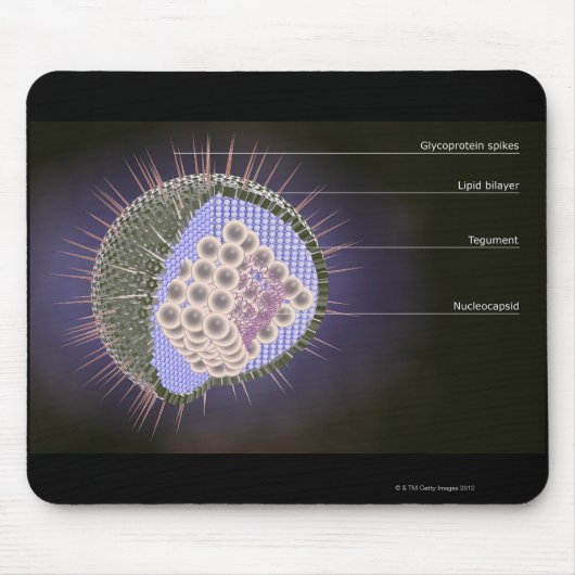 Herpes-Virusstruktur Mousepad (Vorne)