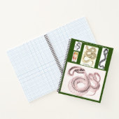 Herpetologie-Notebook Notizblock (Innenseite)