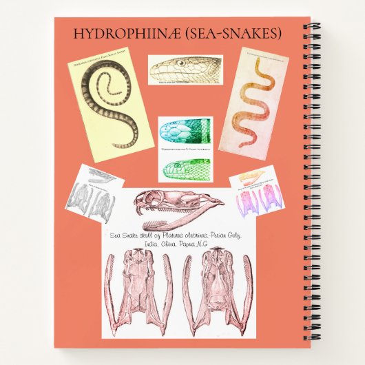 Herpetologie-Notebook Notizblock (Rückseite)