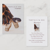 Herpetologist doppelseitig visitenkarte (Vorne/Hinten)