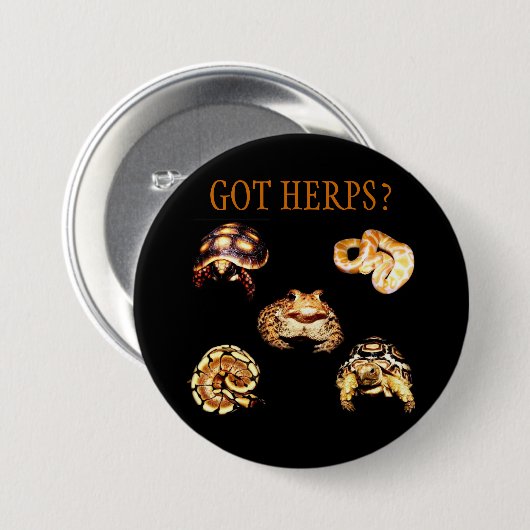 Herps Knopf Button (Vorne & Hinten)