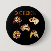 Herps Knopf Button (Vorderseite)