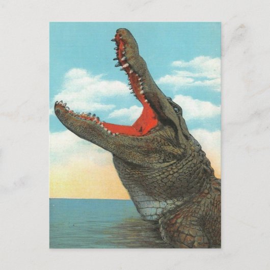 Herr Alligator Postkarte (Vorderseite)