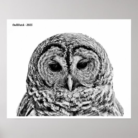 Herr Barred Owl - 2025 Poster (Vorne)