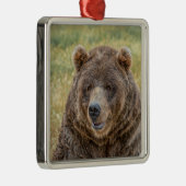 Herr Bear Ornament Aus Metall (Rechts)