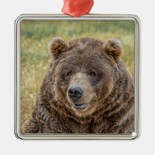 Herr Bear Ornament Aus Metall (Vorne)