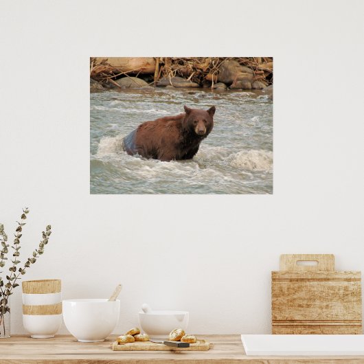 Herr Bear Poster (Küche)