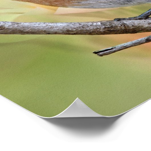 Herr Beautiful Bluebird Poster (Ecke)