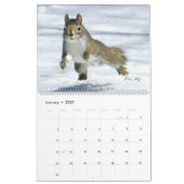 Herr Bickles Das Eichhörnchen 2026 Kalender (Jan 2027)