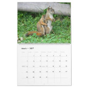 Herr Bickles Das Eichhörnchen 2026 Kalender groß (Mär 2027)