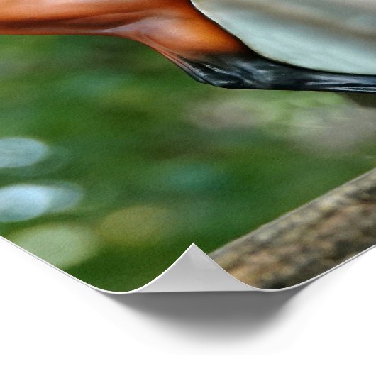 Herr Bickles Das Eichhörnchenplakat mit Empres Poster (Ecke)