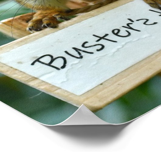 Herr Bickles Das Eichhörnchenplakat Poster (Ecke)