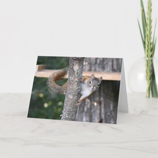 Herr Bickles Grußkarte Karte (Vorderseite)