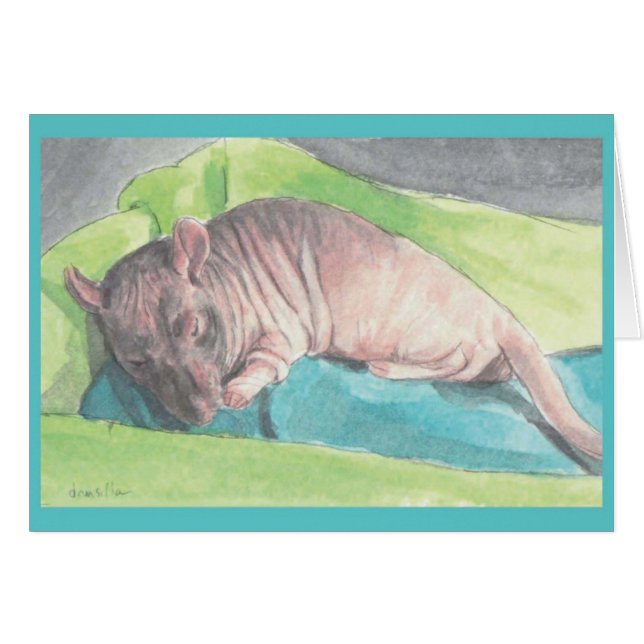 Herr Bigglesworth (Vorderseite (Horizontal))