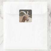 Herr Bill Quadratischer Aufkleber (Tasche)