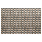 Herr Bill Stoff (Yard (91,4 cm))