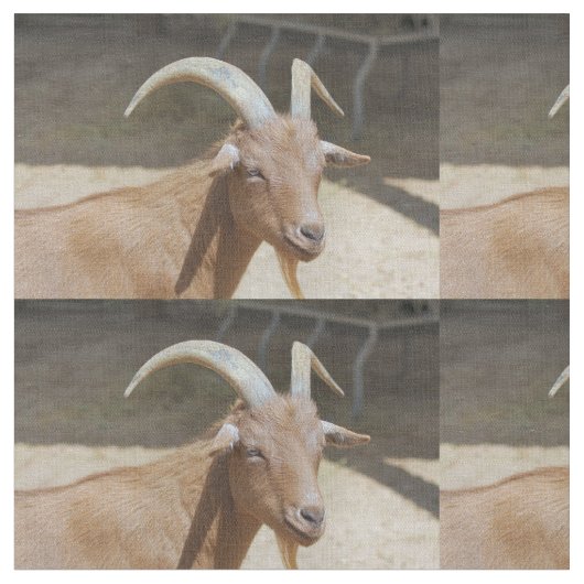 Herr Bill Stoff (Nahaufnahme)