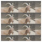 Herr Bill Stoff (Muster)