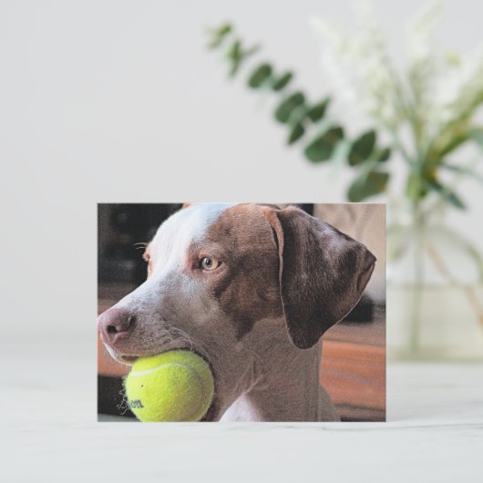 Herr Bo-Bo und Bally Postkarte (Stehend Vorderseite)