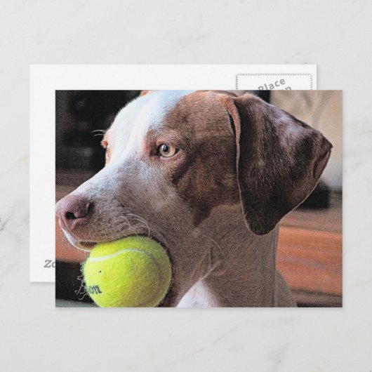 Herr Bo-Bo und Bally Postkarte (Vorne/Hinten)