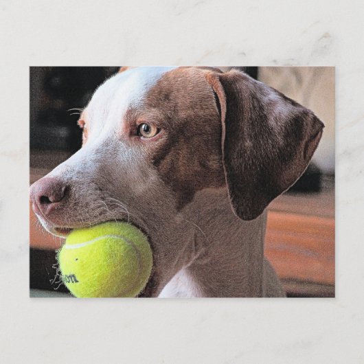 Herr Bo-Bo und Bally Postkarte (Vorderseite)