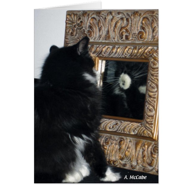 Herr Bootee, durch den Spiegel (Vorne)