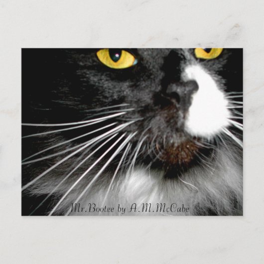 "Herr Bootee" Postkarte (Vorderseite)