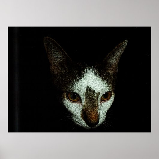 Herr Bud in Ruhe Poster (Vorne)