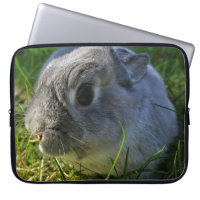 Herr Bunnys Close Up