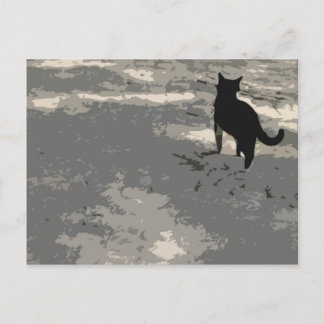 Herr Cat Postcard 010 Postkarte