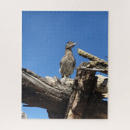 Herr Coyote zusehen Puzzle