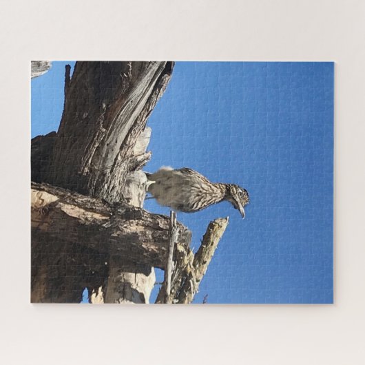 Herr Coyote zusehen Puzzle (Horizontal)