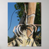 Herr Crustacean AKA Lobster Leiter ... Buddhist He Poster (Vorne)