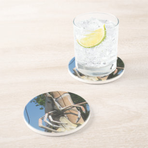 Herr Crustacean AKA Lobster Leiter ... Buddhist He Untersetzer