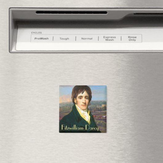 Herr Darcy Magnet (In Situ (Geschirrspüler))