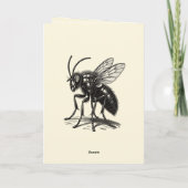 Herr der Flieger Karte (Rückseite)