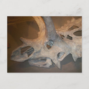 Herr Dino #2 Postkarte