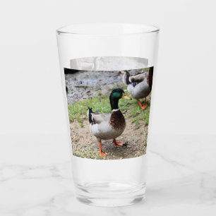 Herr Duck Glas