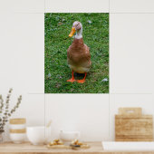 Herr Duck Poster (Küche)