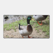 Herr Duck Schreibtischunterlage (Vorderseite)