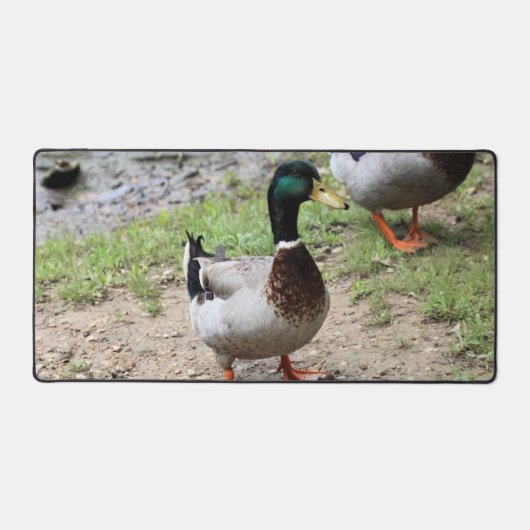 Herr Duck Schreibtischunterlage (Vorderseite)