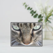 Herr Face Postkarte (Stehend Vorderseite)
