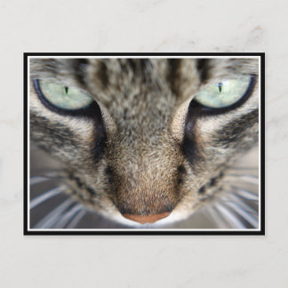Herr Face Postkarte