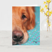 Herr Farley, das golden retriever Karte (Gelbe Blume)