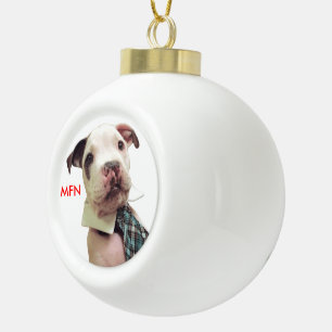 Herr Fig Newton Ornament #1