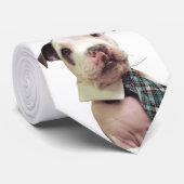 Herr Fig Newton Tie Krawatte (Gerollt)