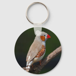 Herr Finch Keyring Schlüsselanhänger