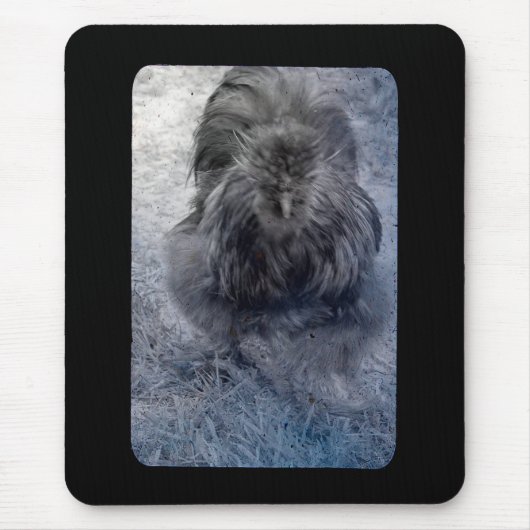 Herr Fluffy Silkie Rooster 2 Mousepad (Vorne)