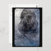 Herr Fluffy Silkie Rooster Postkarte (Vorne/Hinten)