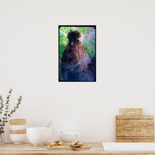 Herr Fluffy the Silkie Rooster Poster (Küche)